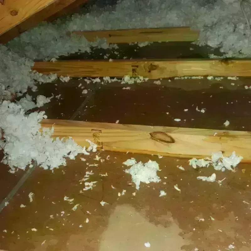 Attic Water Damage in Redwood Shores, CA